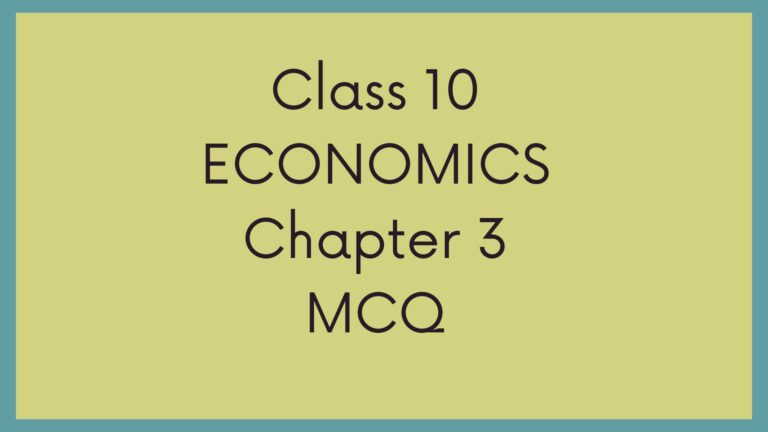 Class 10 Economics Chapter 3 MCQ